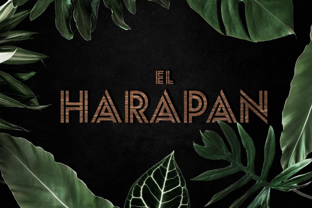 El Harapan - Sumergete En Una Selva A Pie De Playa - Grupo Querbes Gijón Esterno foto